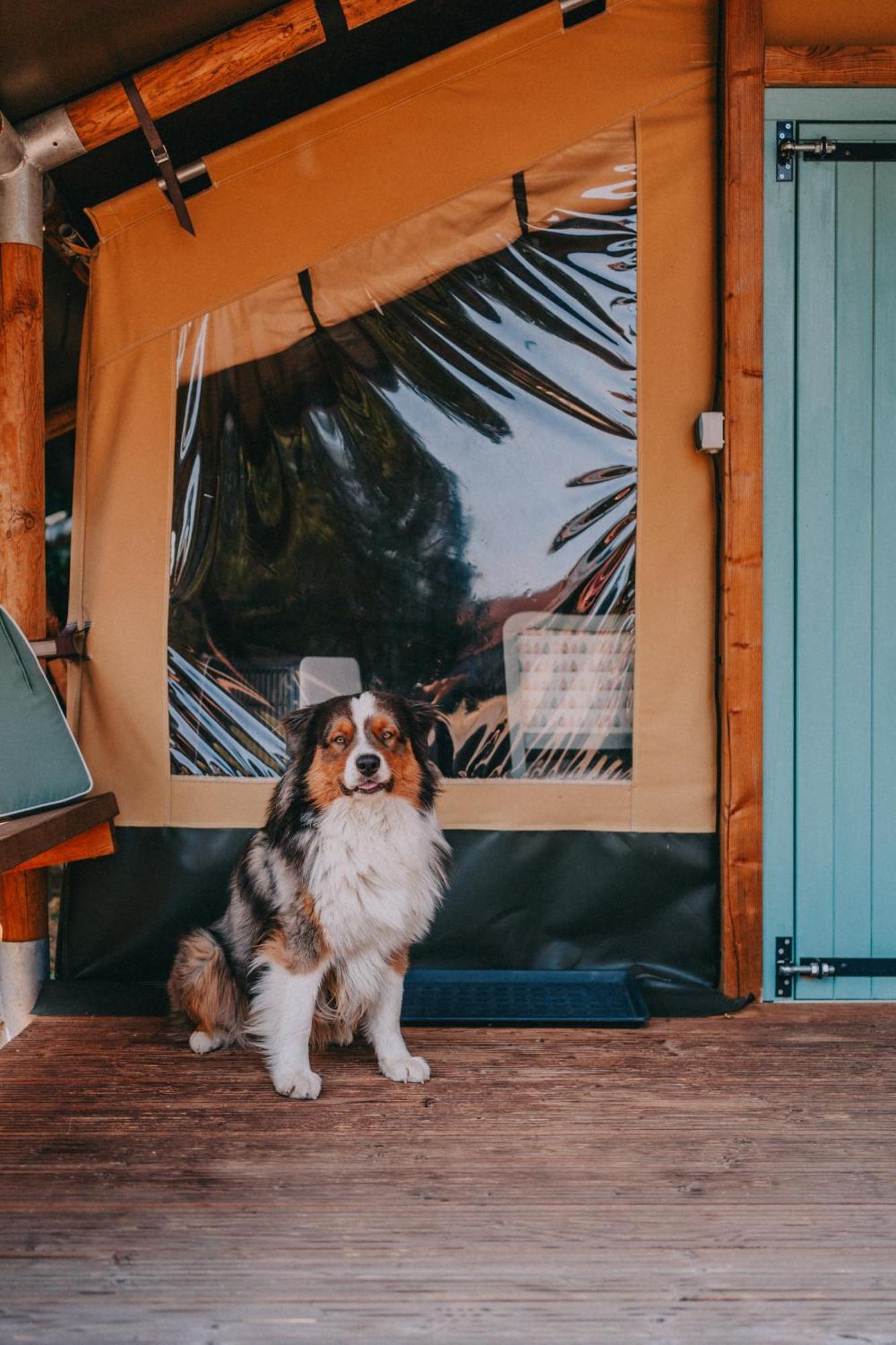 Rendes Glamping Hotel Balatonrendes Luaran gambar